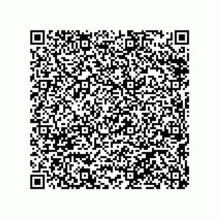 vCard 79290380081