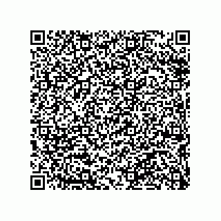 vCard 79290380084