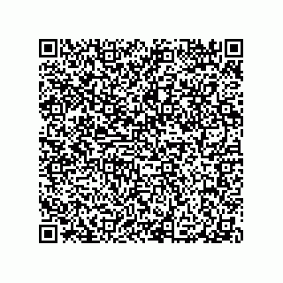 vCard 79290380087