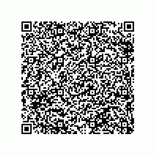 vCard 79290380090
