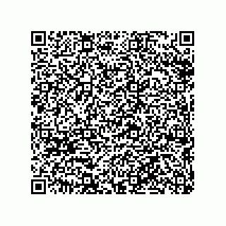 vCard 79290380101