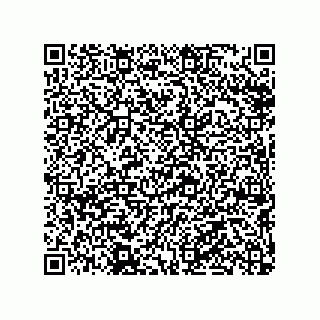 vCard 79290380103