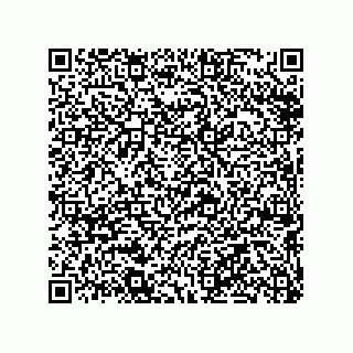 vCard 79290380105