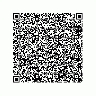 vCard 79290380110