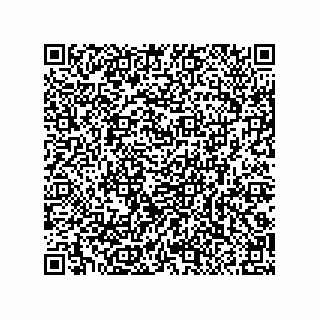 vCard 79290380111