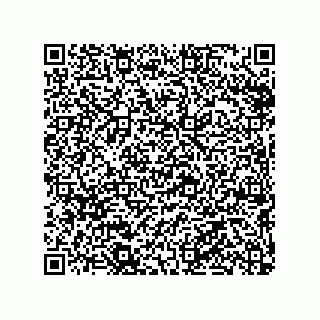 vCard 79290380113