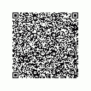 vCard 79290380119