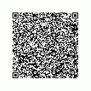vCard 79290380131