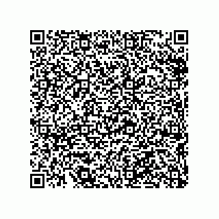 vCard 79290380132