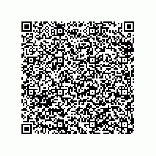 vCard 79290380133