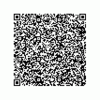 vCard 79290380137