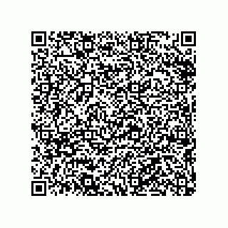 vCard 79290380153