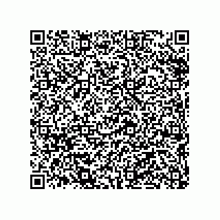 vCard 79290380157