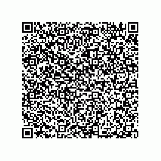 vCard 79290380165