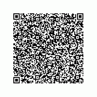 vCard 79290380180