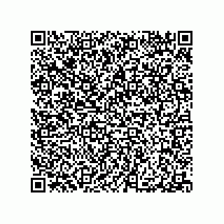 vCard 79290380181