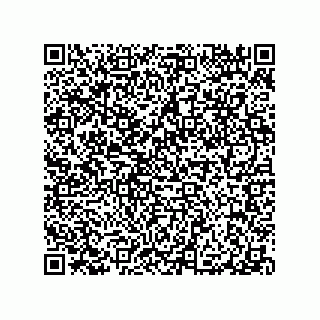 vCard 79290380193