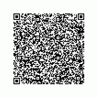 vCard 79290380197