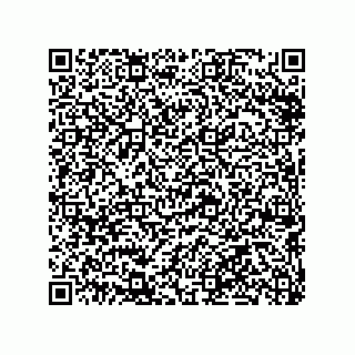 vCard 79290380199
