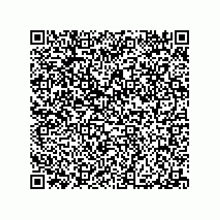 vCard 79290380201