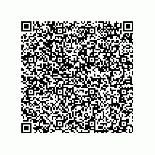 vCard 79290380202
