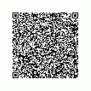 vCard 79290380203