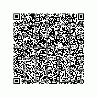 vCard 79290380204