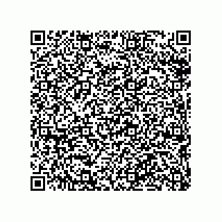 vCard 79290380205
