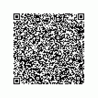 vCard 79290380206