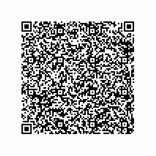 vCard 79290380207