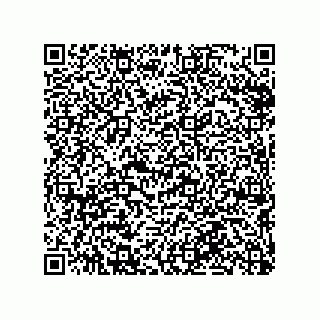vCard 79290380210