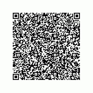 vCard 79290380211