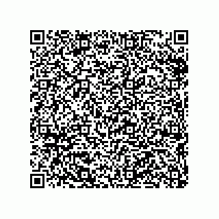 vCard 79290380217