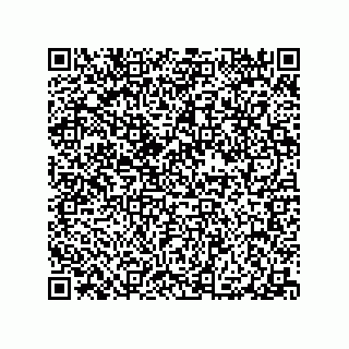 vCard 79290380221