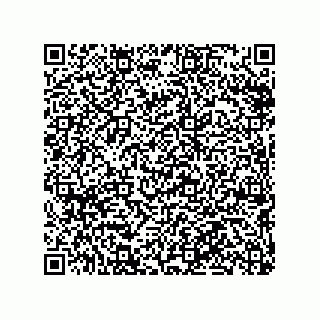 vCard 79290380231