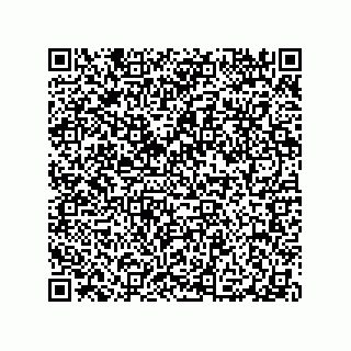 vCard 79290380247