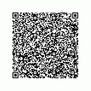 vCard 79290380251