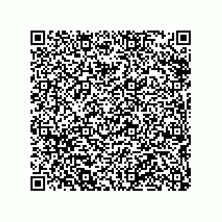 vCard 79290380277