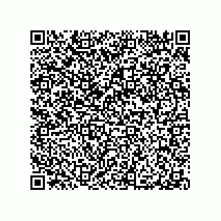 vCard 79290380293