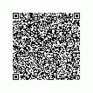 vCard 79290380295