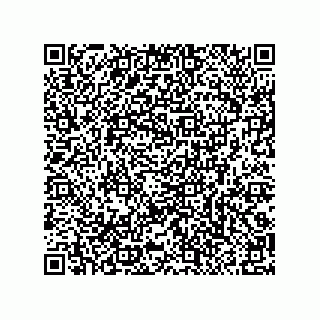 vCard 79290380297