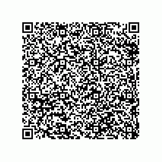 vCard 79290380298
