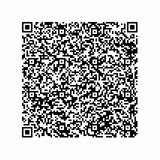 vCard 79290380300