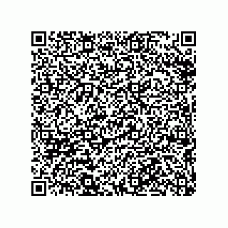 vCard 79290380301