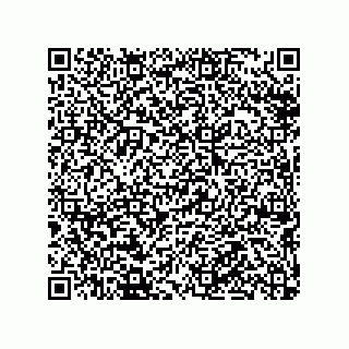 vCard 79290380303