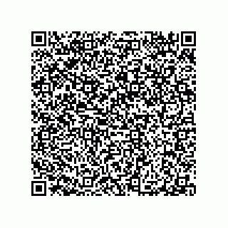 vCard 79290380305
