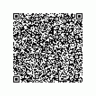 vCard 79290380307