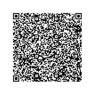 vCard 79290380310