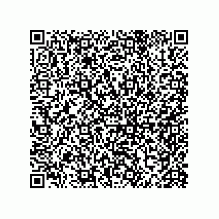 vCard 79290380311