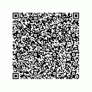 vCard 79290380317
